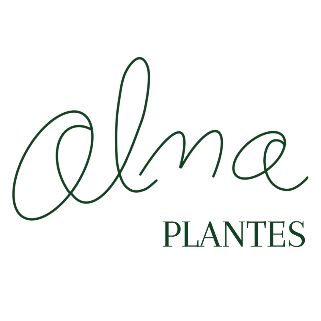 Alma Plantes