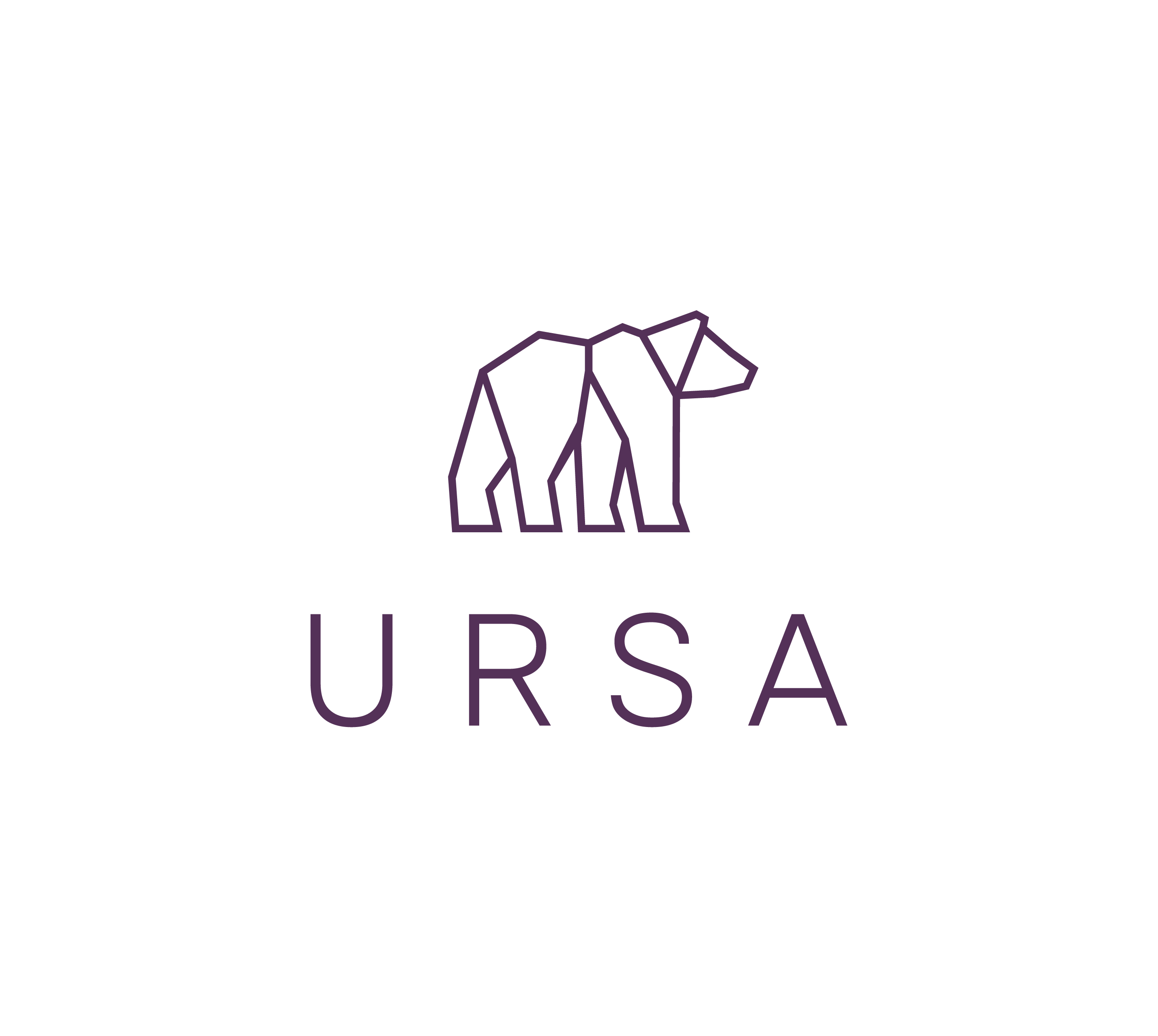Ursa Marketing