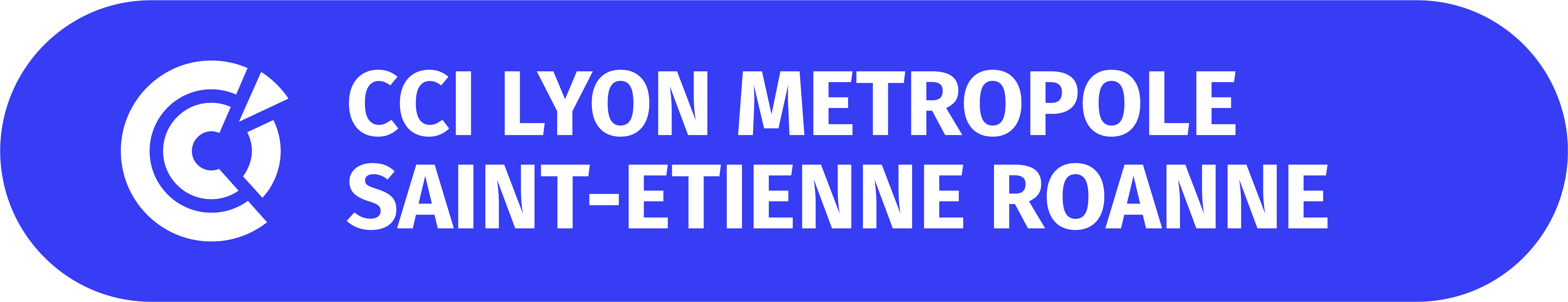 CCI LYON METROPOLE