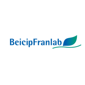 BeicipFranlab