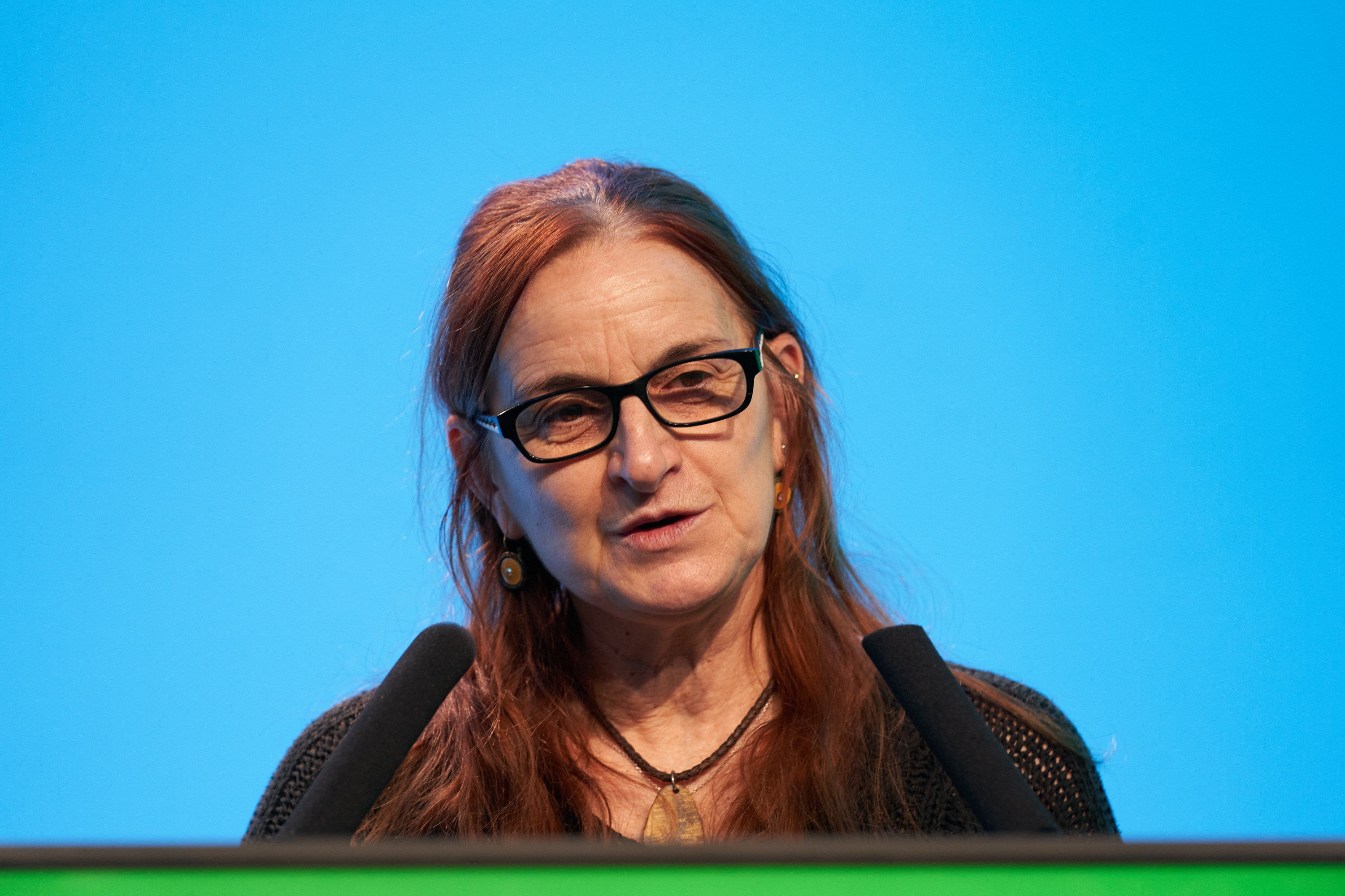 Carrefour_agrivoltaisme_Michèle Boudoin_credit-VincentBlocquaux.jpg