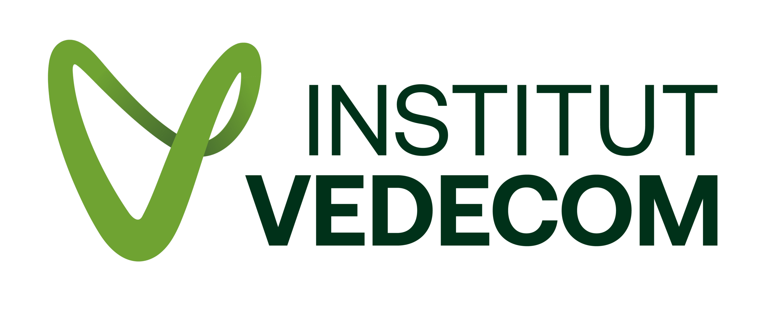INSITITUT VEDECOM