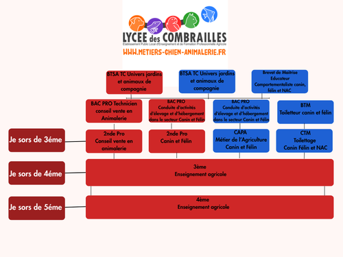 Quelles formations au Lycée des Combrailles 