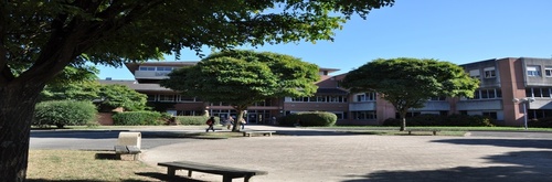 BTS Services Informatiques aux Organisations