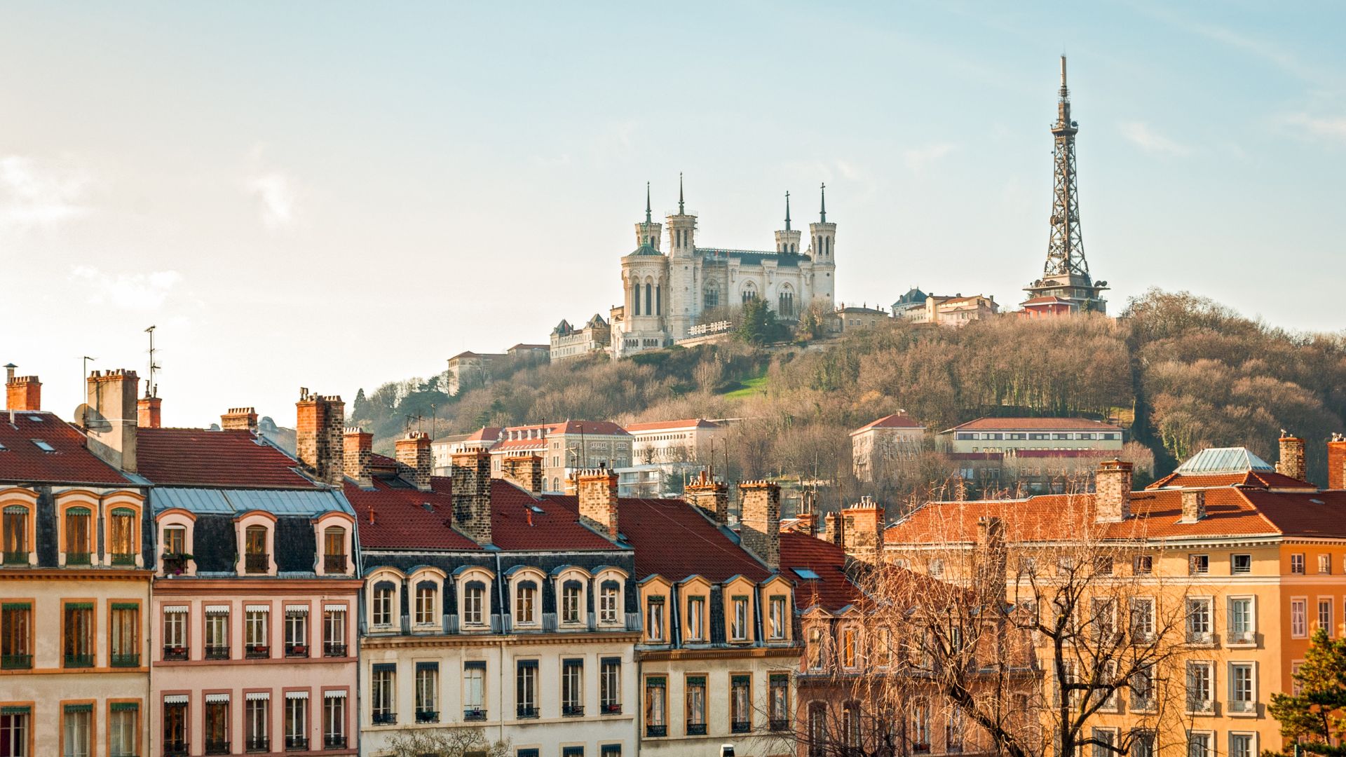 Programme de la soirée de vendredi