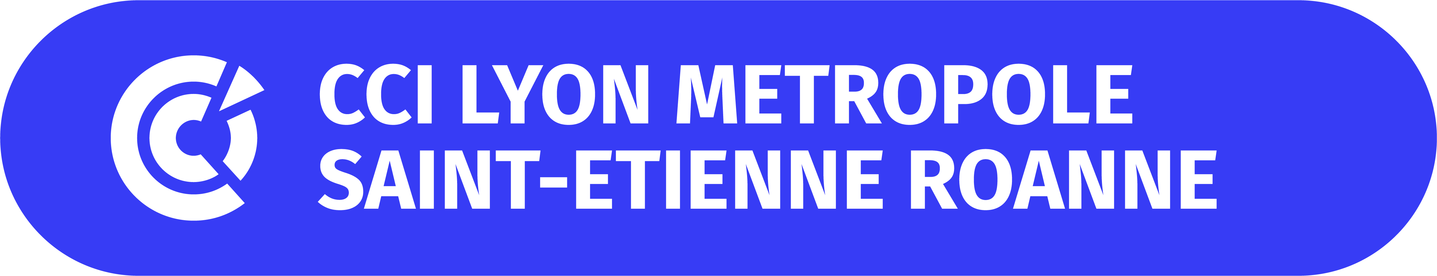 Logo CCI Lyon Métropole Saint-Etienne Roanne