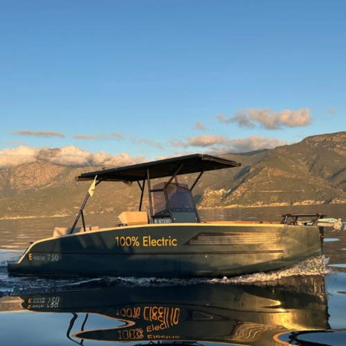E-SOLE 750