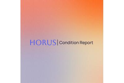 HORUS CONDITION REPORT