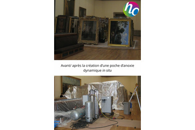 HYGIENE OFFICE