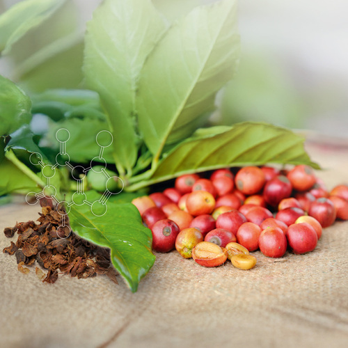 Cascara Pro