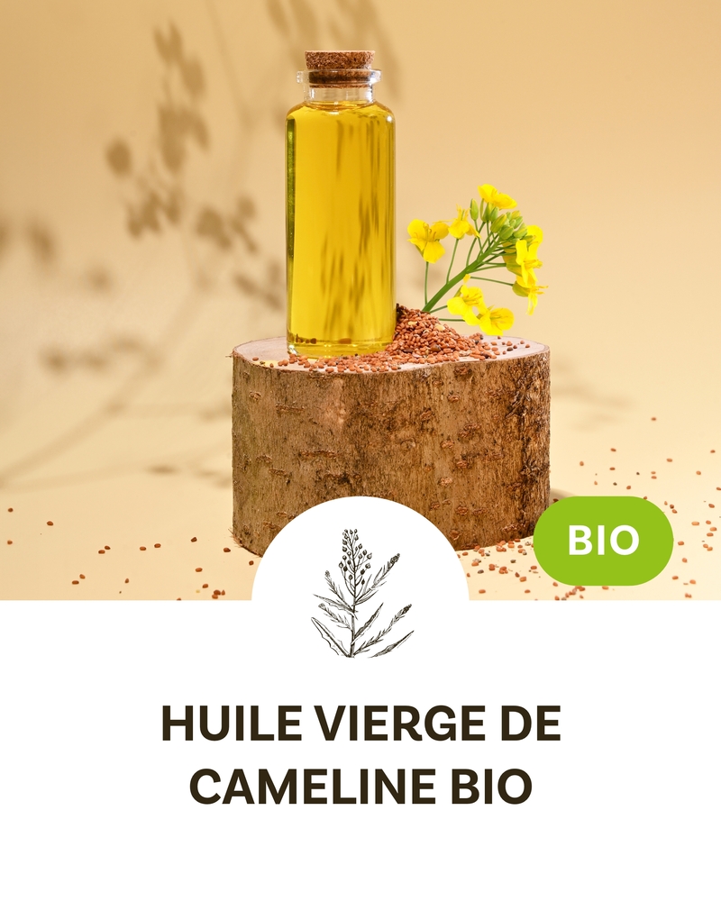 Organic Virgin Camelina Oil (INCI: Camelina Sativa Seed Oil)