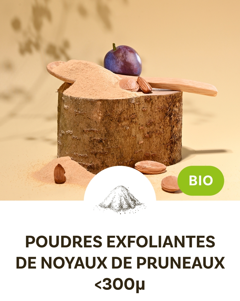 Organic Plum Kernel Shell Exfoliating Powder  (INCI: Prunus Domestica Seed Powder)