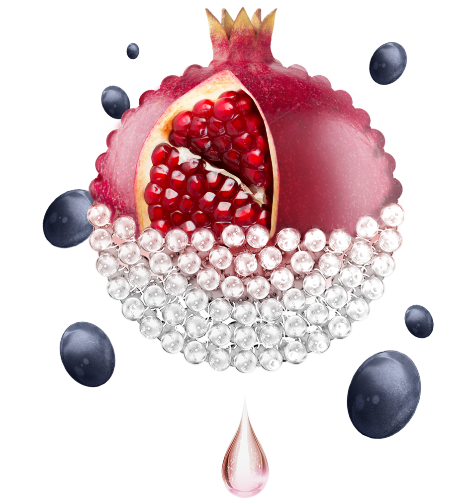 Vegan DDS Resveratrol