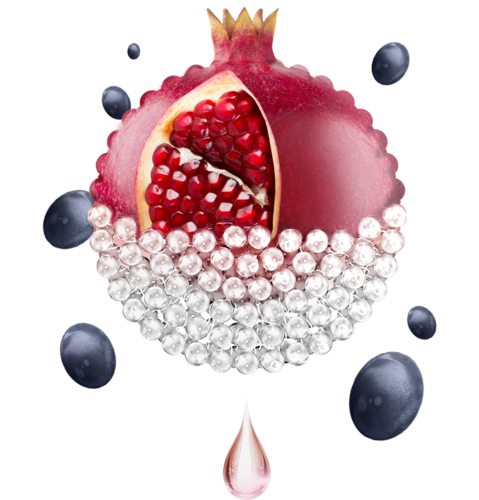 Vegan DDS Resveratrol