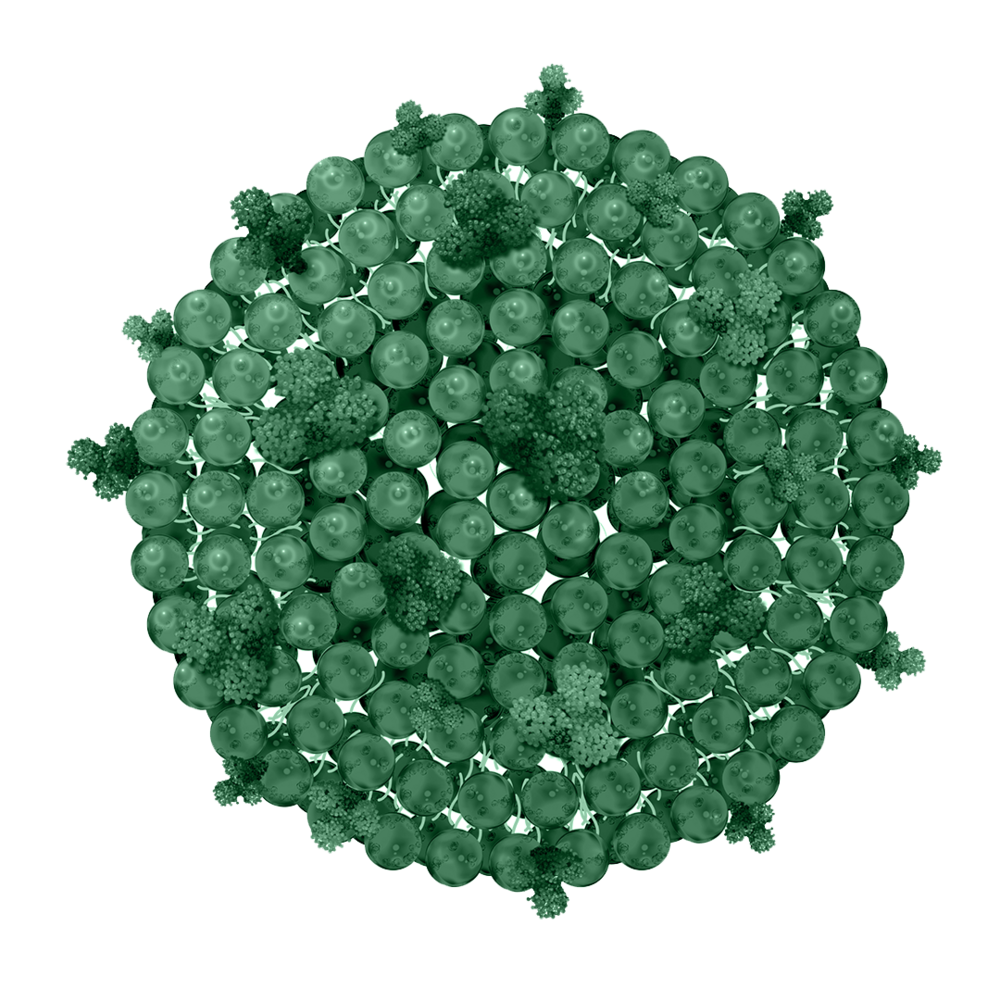 Biomimetic Exosomes