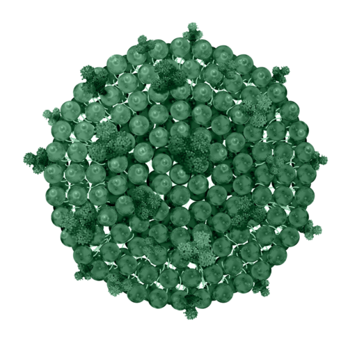 Biomimetic Exosomes