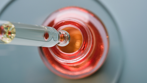 Tolérance & Toxicologie in vitro