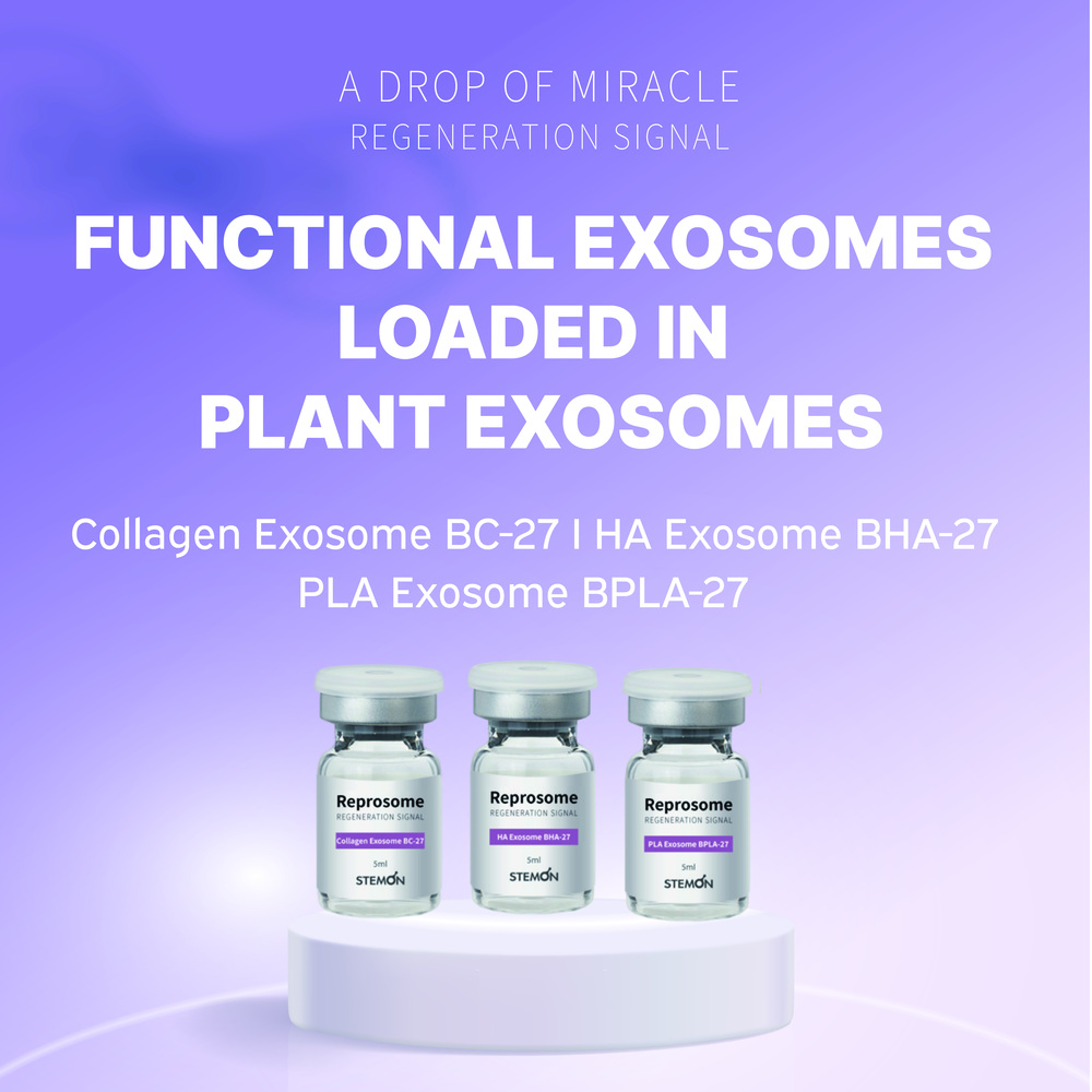 STEMON: Functional Exosomes Loaded in Plant Exosome