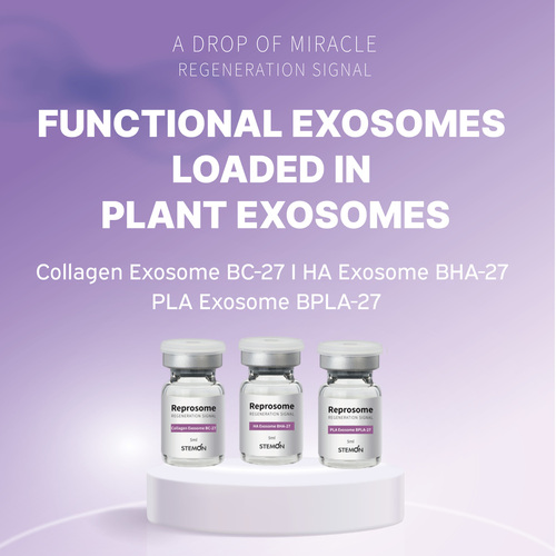 STEMON: Functional Exosomes Loaded in Plant Exosome
