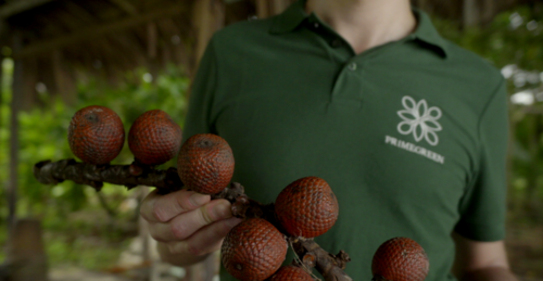 Buriti Oil