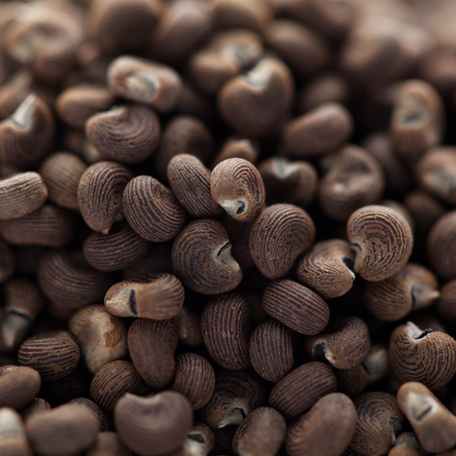 Ambrette seeds