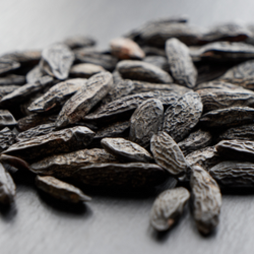Tonka beans