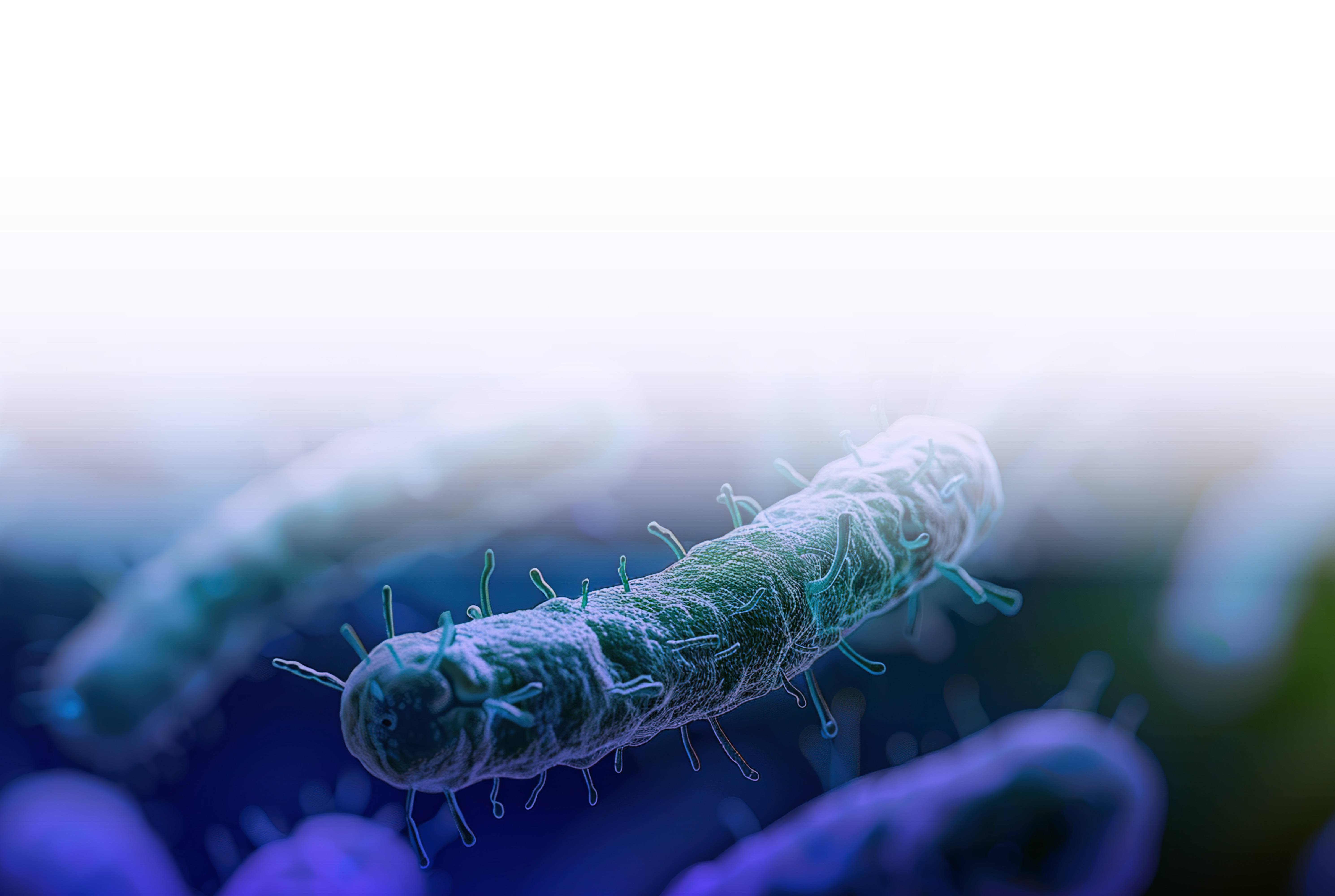 A3P webinar Endotoxins