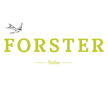 Johannes Forster