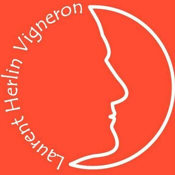 Laurent Herlin