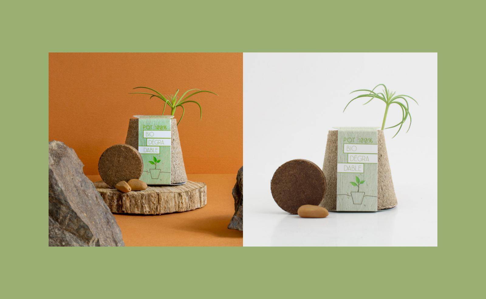 FAITES GRANDIR VOTRE MARQUE AVEC LE KIT DE PLANTATION PAR IDÉES NATURE