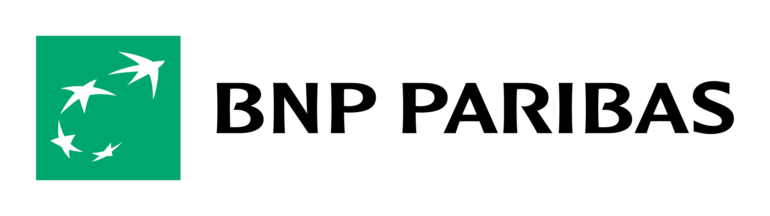 BNPPLogoFlatGreen2026_9dc735fc-5ea6-419f-9080-3231b9d2c7b4.png