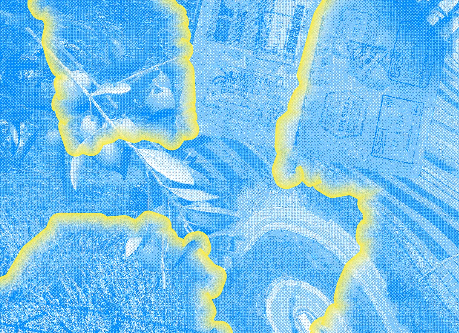 (DÉ)PASSER LES FRONTIÈRES