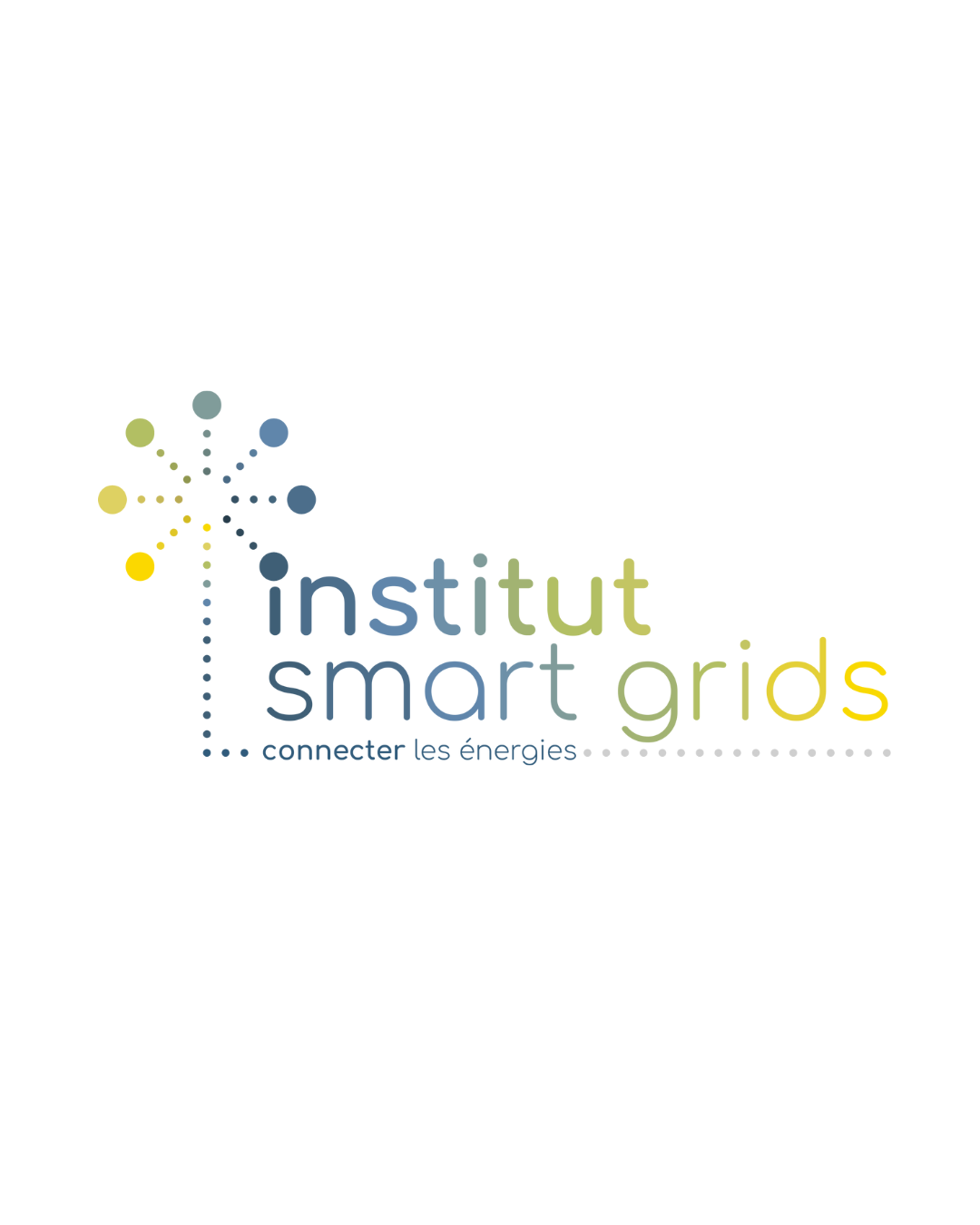 institut smart grids