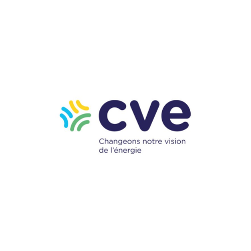 CVE