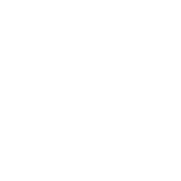 Logo_blanc_nanoQT_300x300px