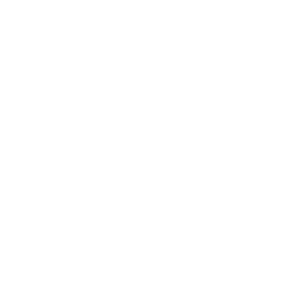Logo_blanc_Qbird_300x300px