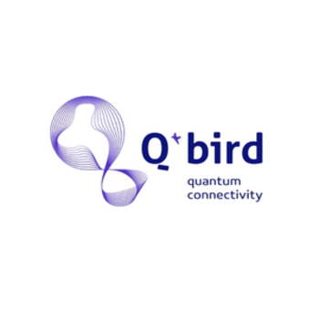Q BIRD