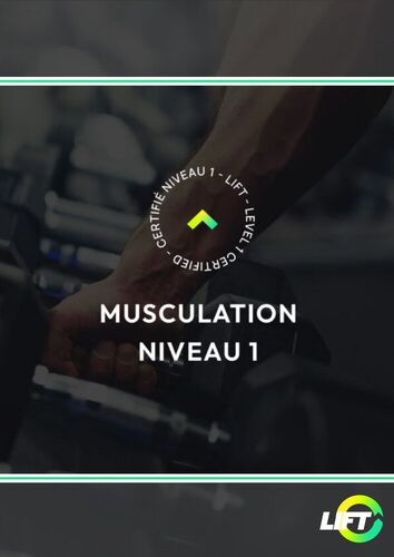 Musculation Niveau 1