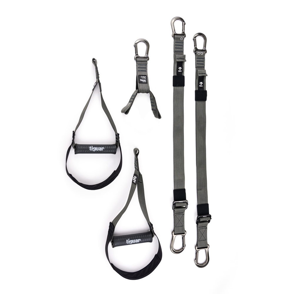 tiguar suspension système alfa pro