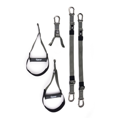 tiguar suspension système alfa pro