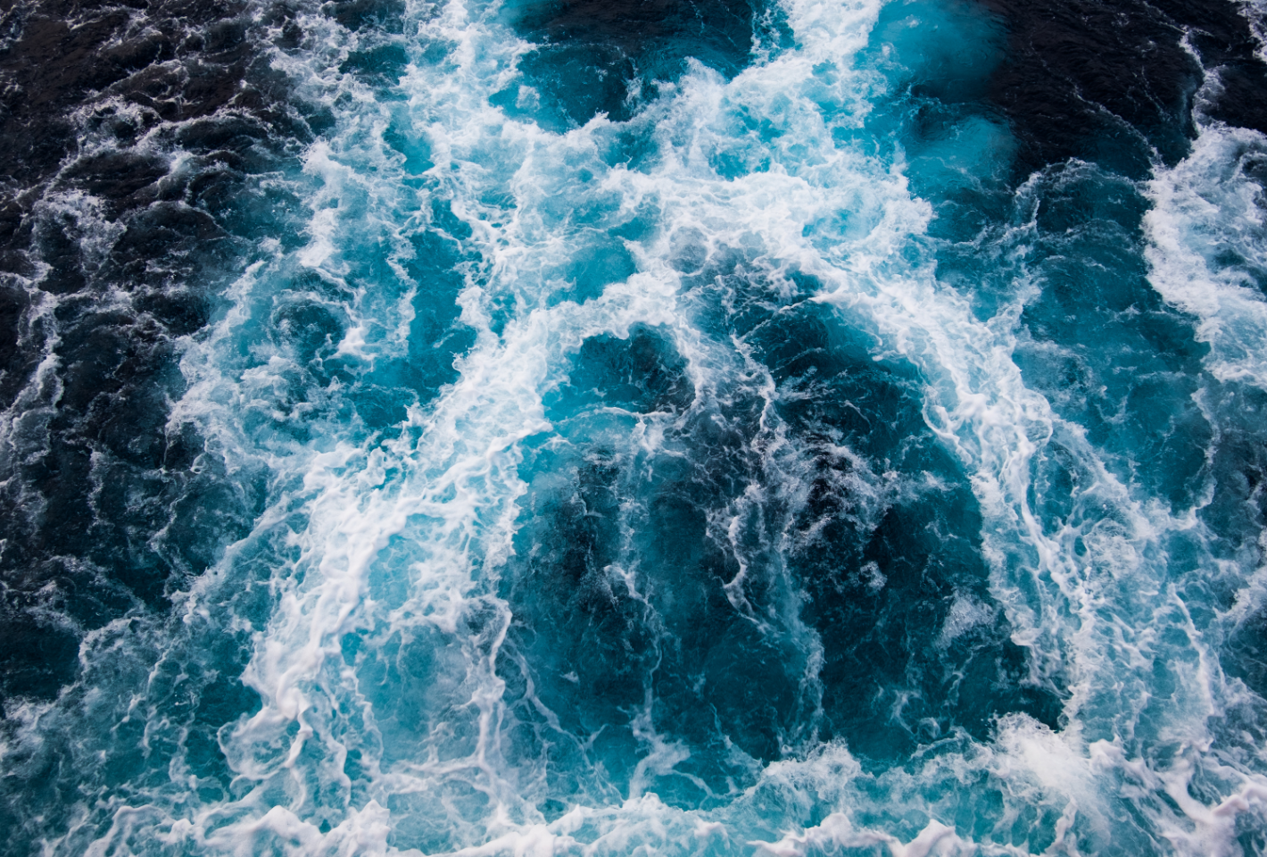 Ocean Beauty: The Oceans, a New Frontier for Cosmetic Innovation