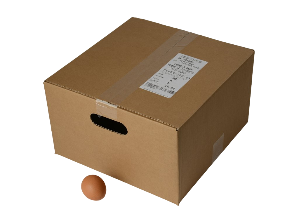 Oeufs SOL x 90 Gros