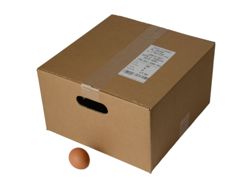 Oeufs SOL x 90 Gros