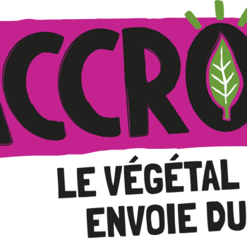 Accro