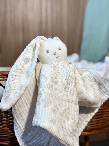 Célestin le Lapin