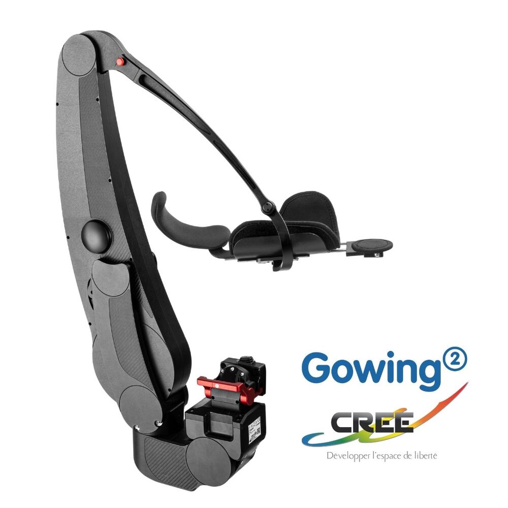 Gowing² 