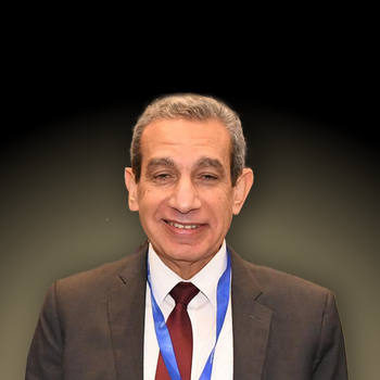 Hussein Hassab Elnaby