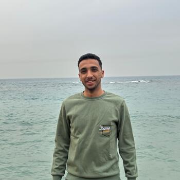 Mohamed Atef Mohamed Shehata