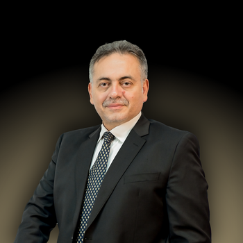 Wael SEOUDY