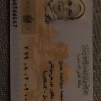 Noha Murad
